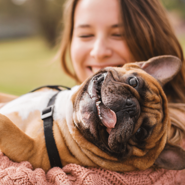 Pequeñas formas de reforzar el vínculo con tu perro