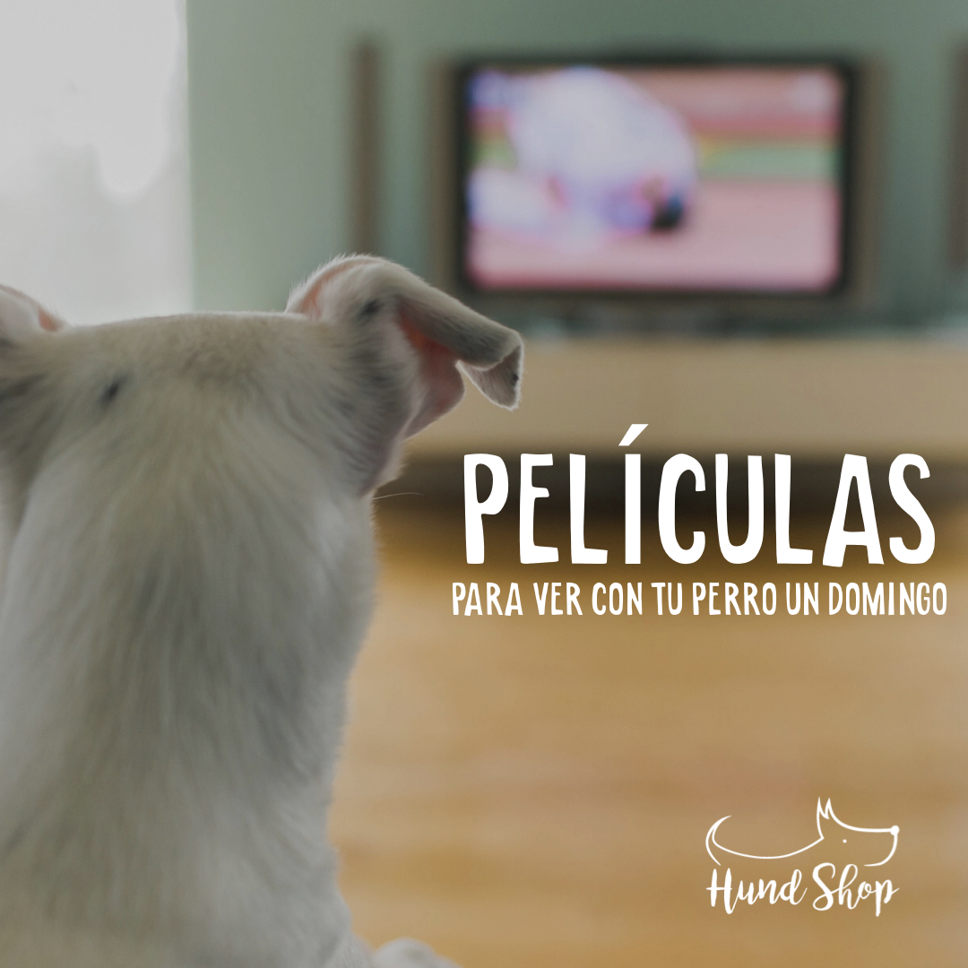 Listado de peliculas para ver con tu perro un domingo