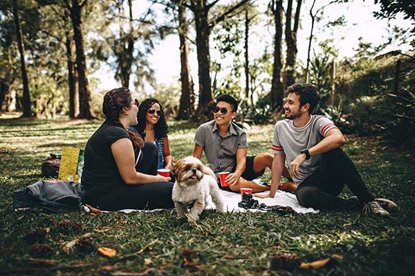 Comportamiento social del perro