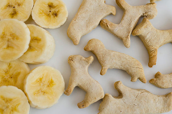 Galletas caseras para perros con plátano