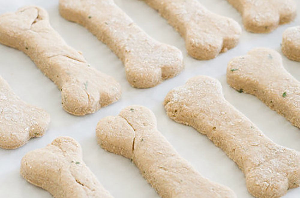 Galletas caseras para perros: ¡A cocinar!
