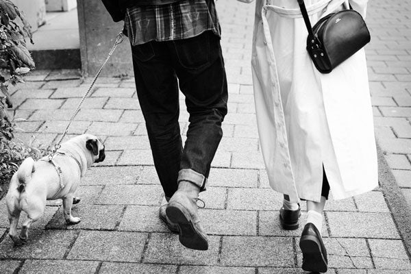 Errores comunes en el paseo con tu perro