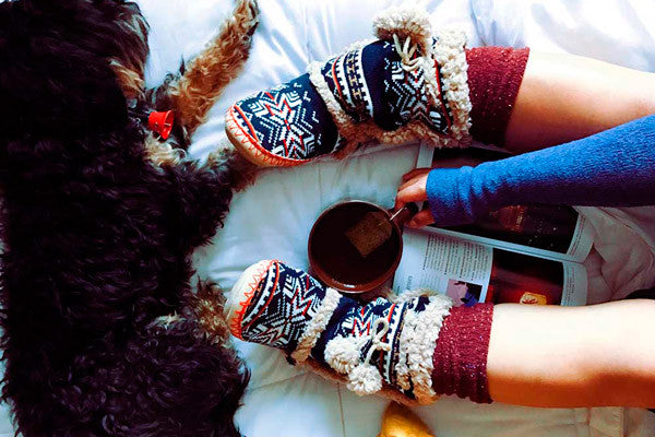 Protege a tu perro del frío este invierno