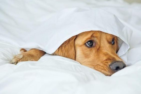 ¿Miedo a las tormentas?