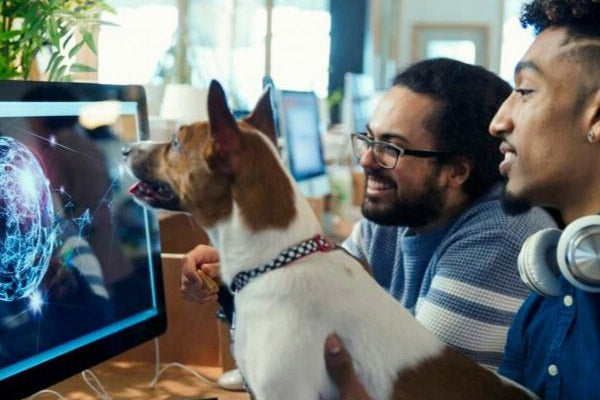 Oficinas “pet friendly”: la tendencia de llevar la mascota al trabajo