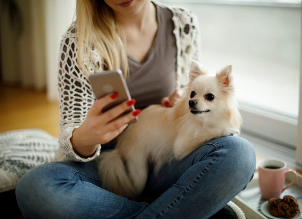 Las mejores #APPS para Dog Lovers