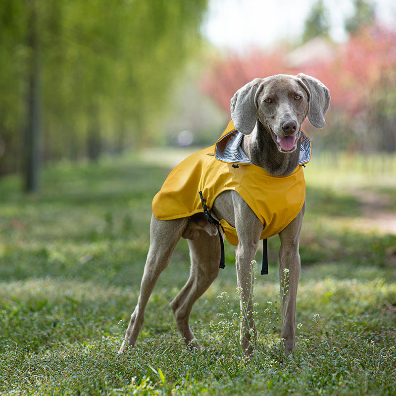 Chaqueta Impermeable All Terrain Amarillo