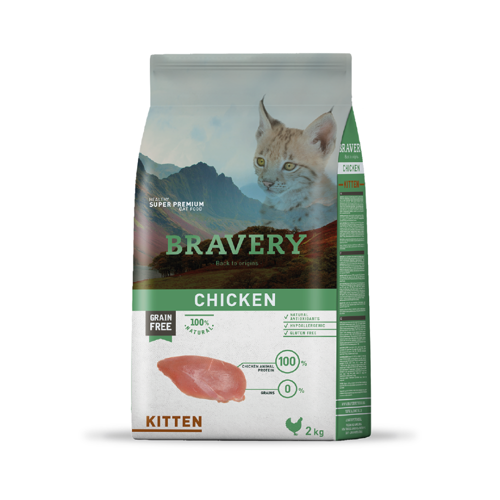 Chicken Gato Kitten