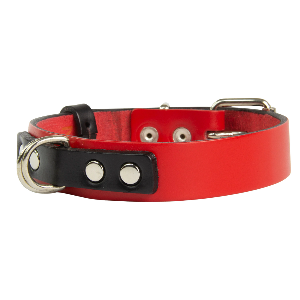 Collar Duke Rojo/Negro