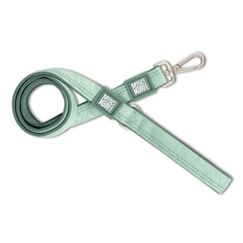 Correa Perro Matrix 2.0 Jade