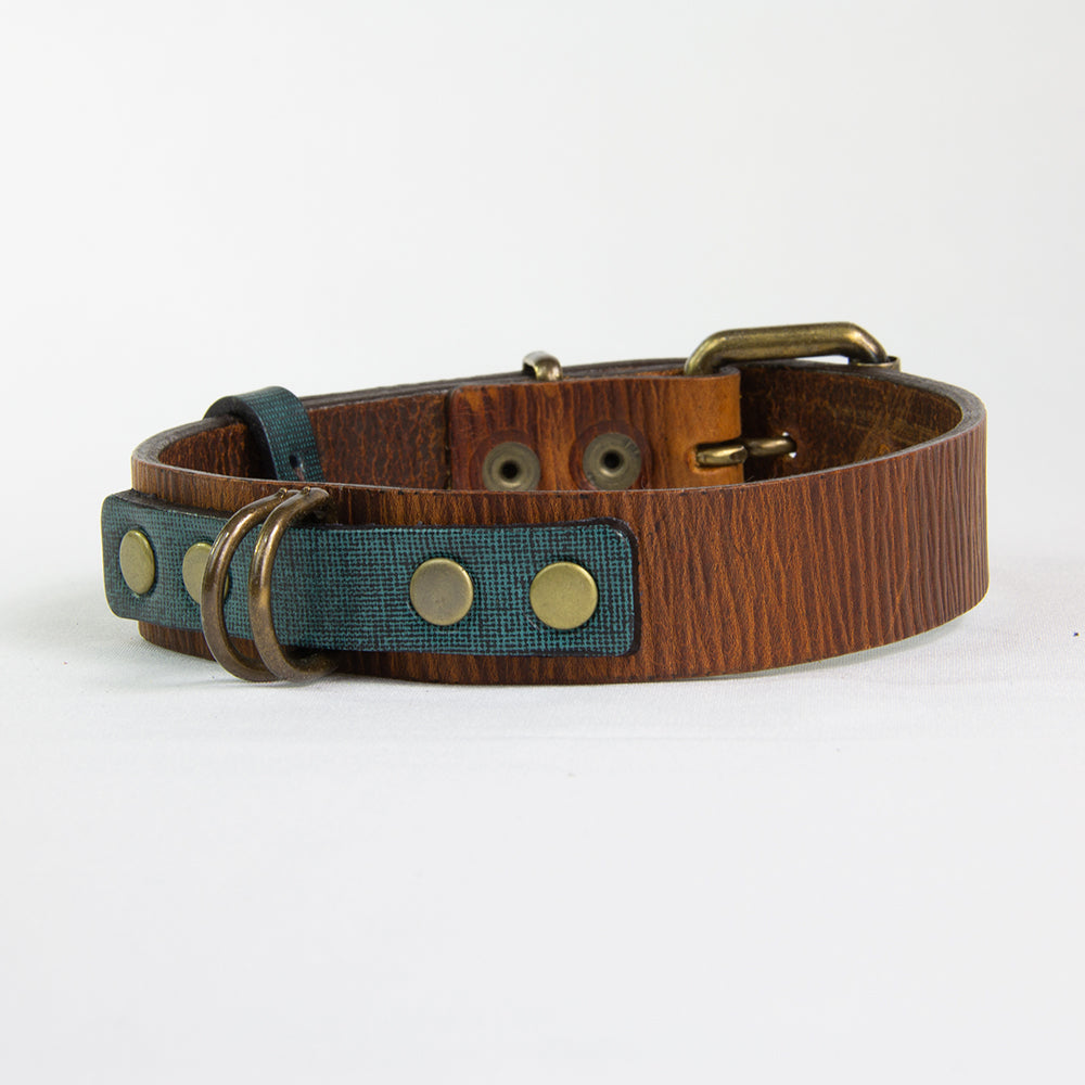 
                  
                    Collar Duke Café/Corrugado
                  
                