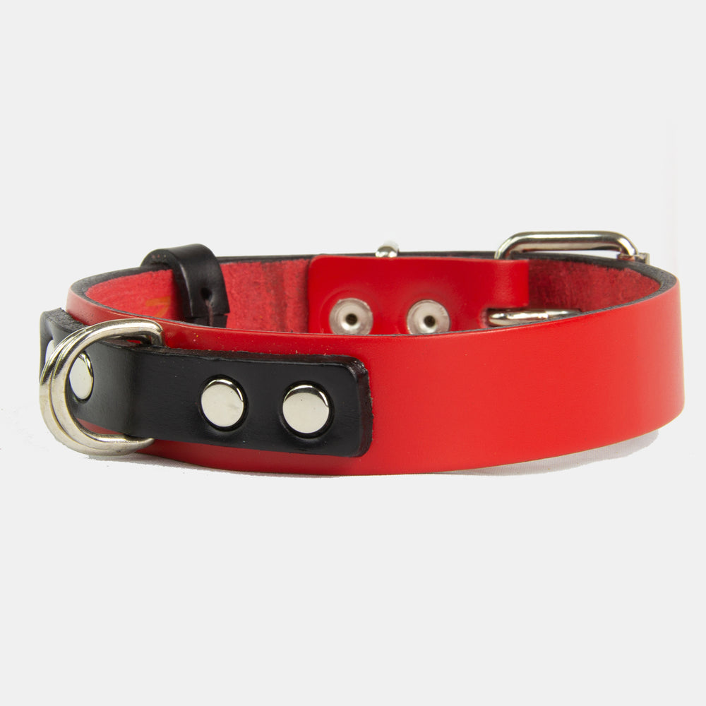 Collar Duke Rojo/Negro