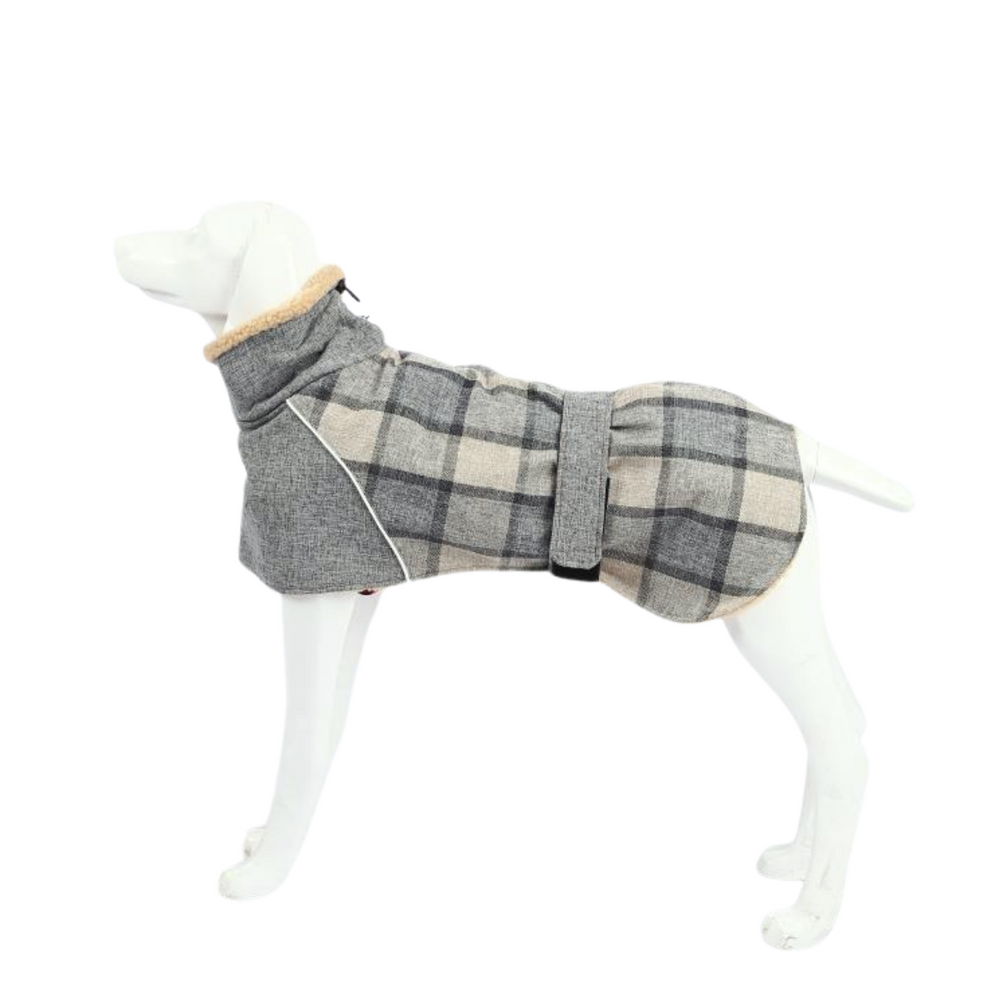 Chaqueta Escocesa Razas Grandes Gris