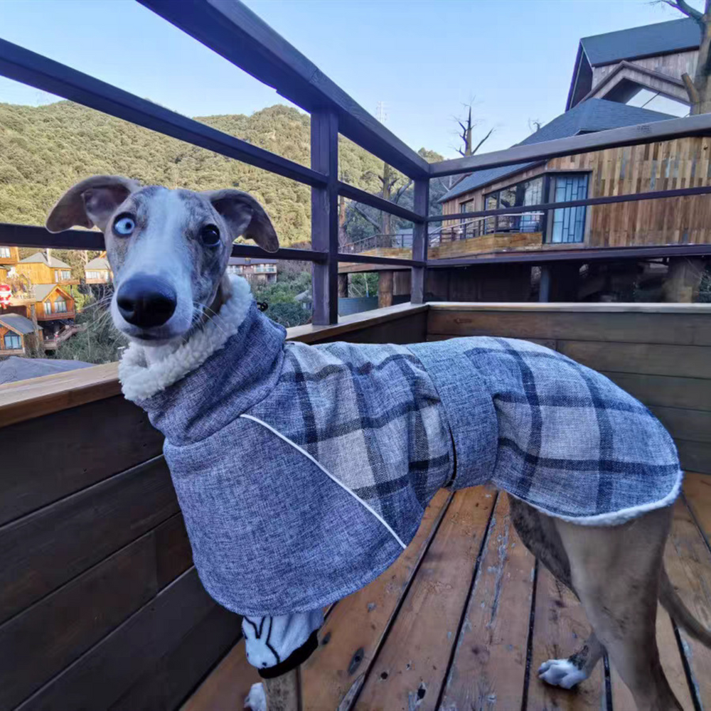 
                  
                    Chaqueta Escocesa Razas Grandes Gris
                  
                
