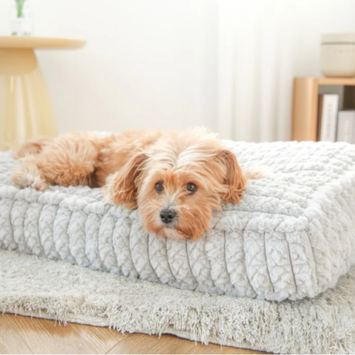 
                  
                    Cama para Perros Genghis
                  
                