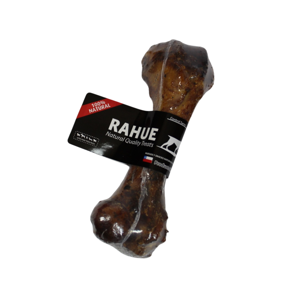 Hueso Fémur Cerdo