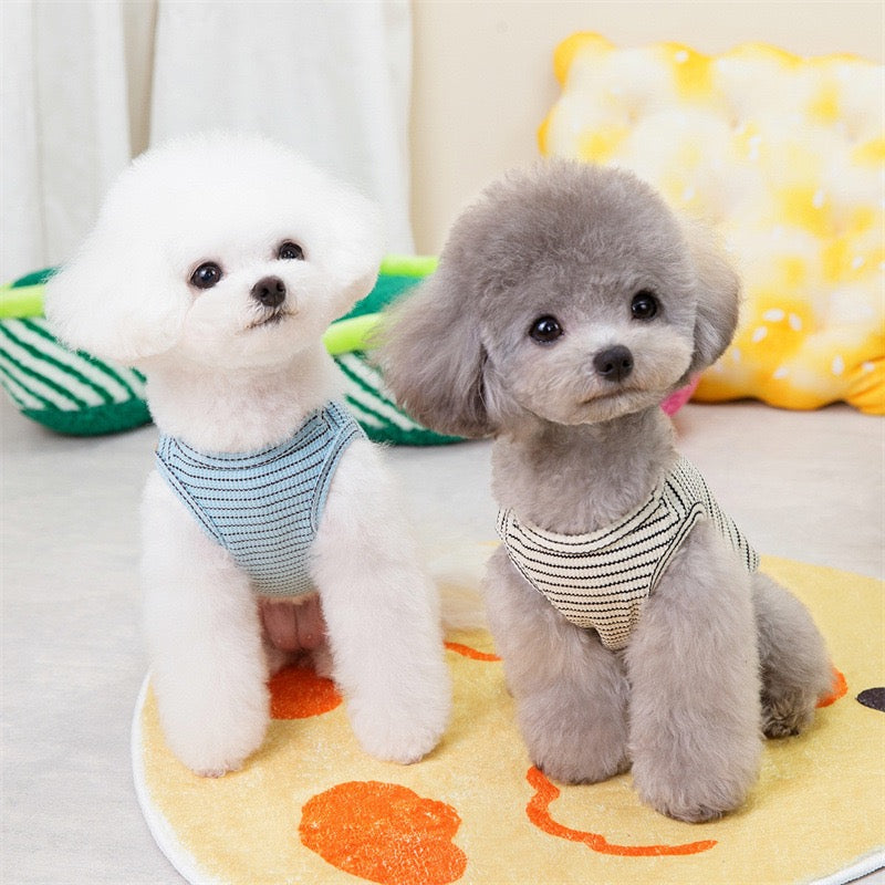 
                  
                    Polera Perro Mini Bear
                  
                