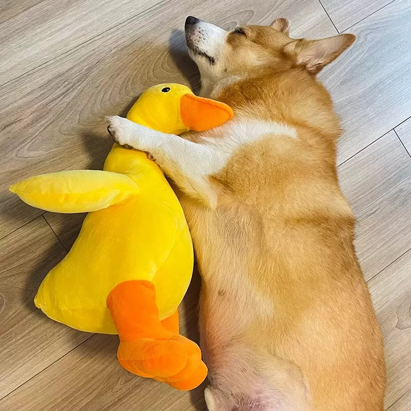 
                  
                    Peluche Pato Amarillo 32cm
                  
                