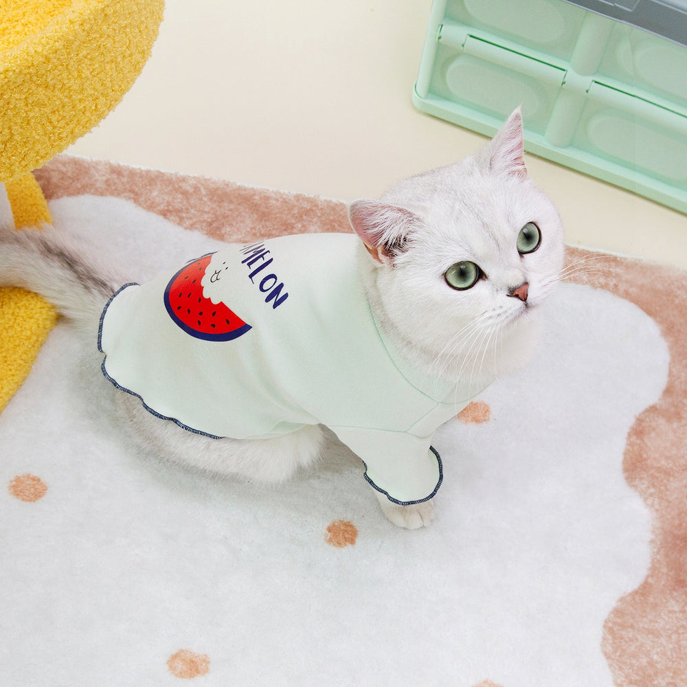 
                  
                    Polera Gato Watermelon Verde
                  
                