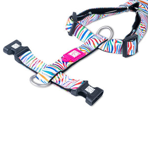 Arnés Magic Zebra