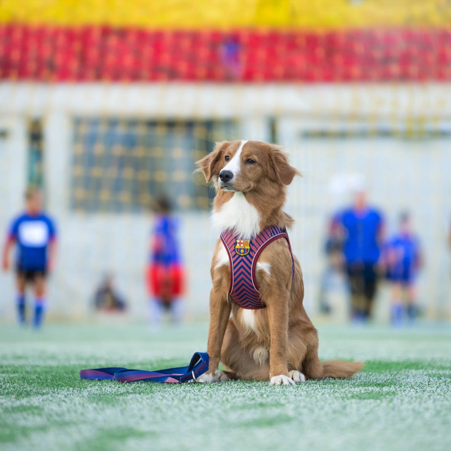 
                  
                    Arnés Perro Air Vest con Smart ID FC Barcelona
                  
                