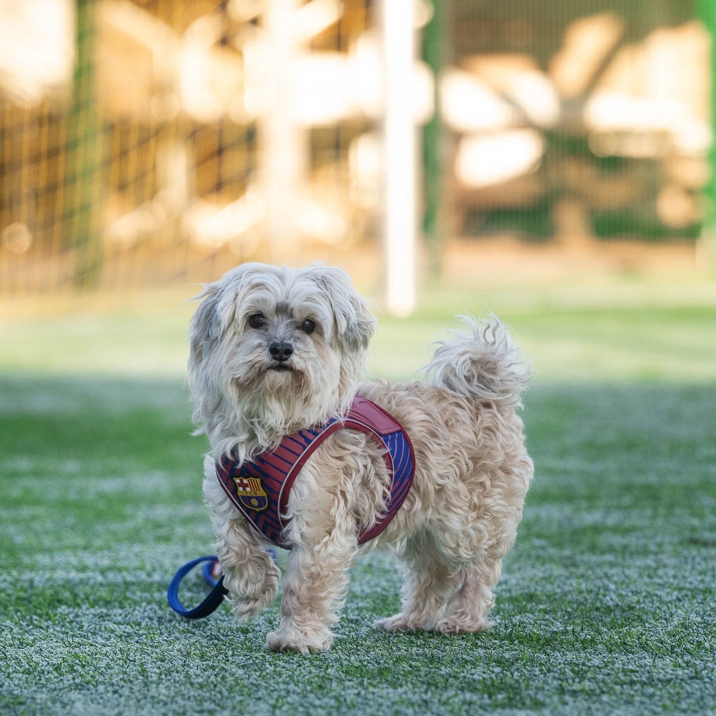 
                  
                    Arnés Perro Air Vest con Smart ID FC Barcelona
                  
                