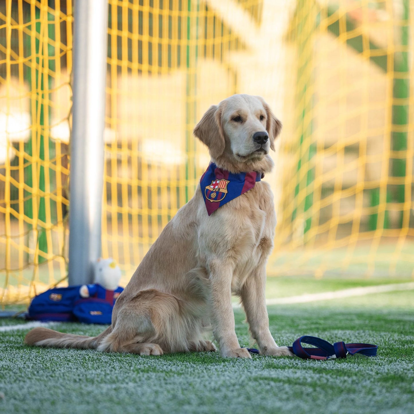 
                  
                    Bandana Reversible FC Barcelona
                  
                
