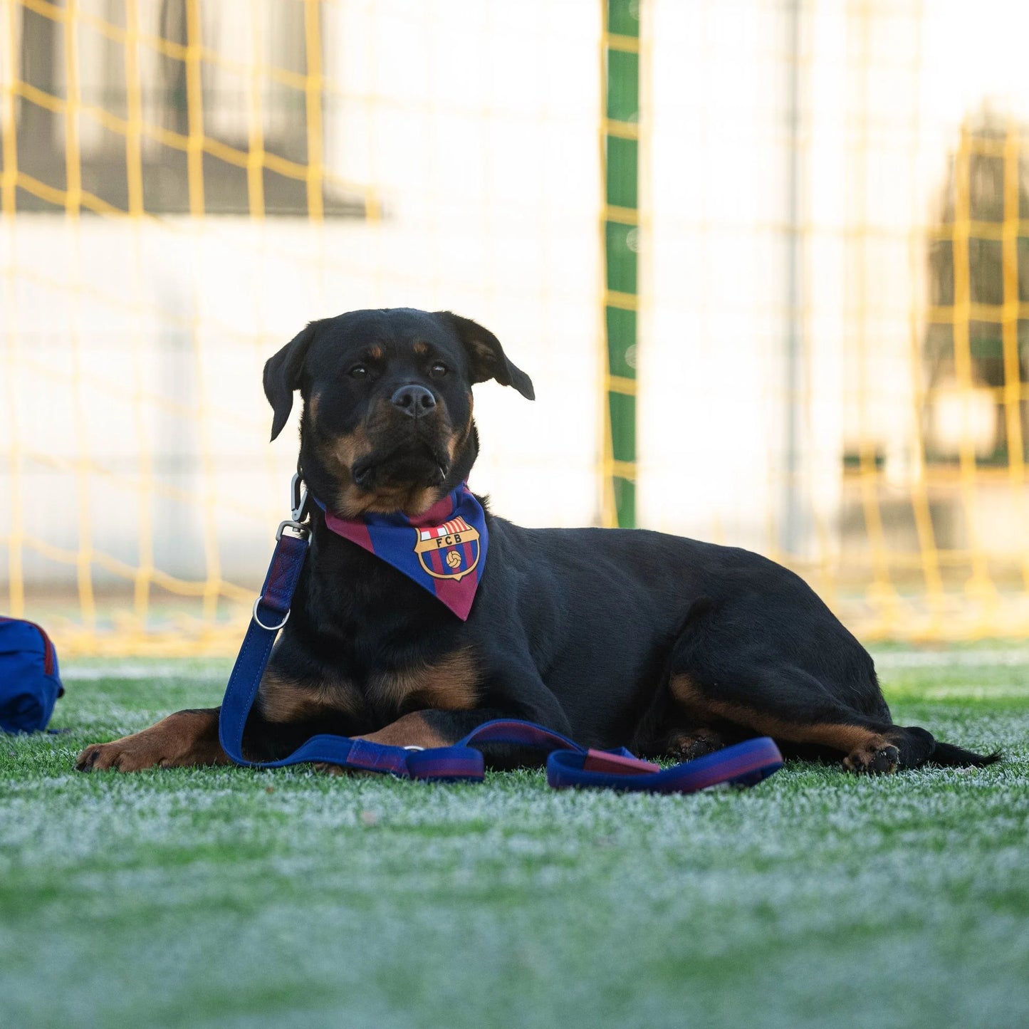 
                  
                    Bandana Reversible FC Barcelona
                  
                