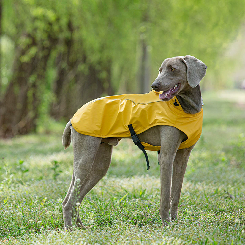 
                  
                    Chaqueta Impermeable All Terrain Amarillo
                  
                
