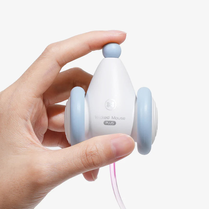
                  
                    Wicked Mouse Plus
                  
                