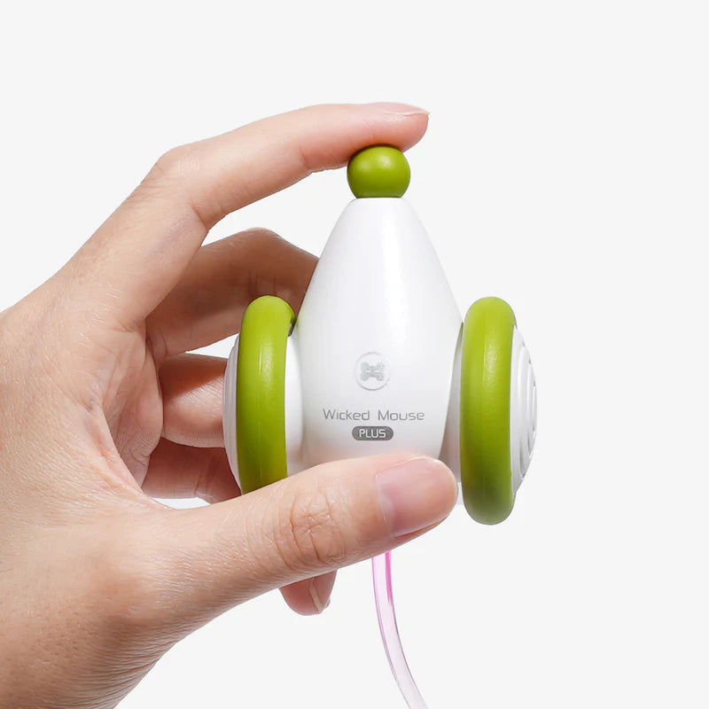 
                  
                    Wicked Mouse Plus
                  
                