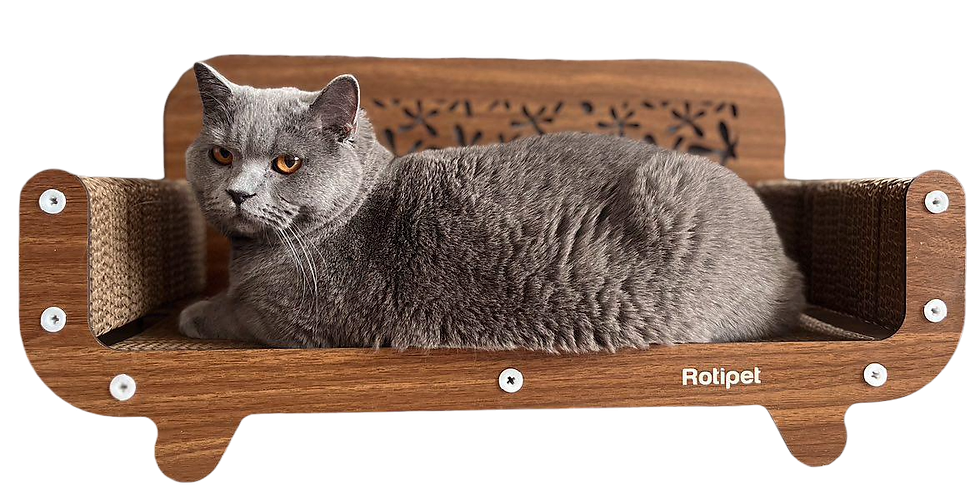 
                  
                    Rascador para Gatos con Catnip Stella 59x30x25cms
                  
                