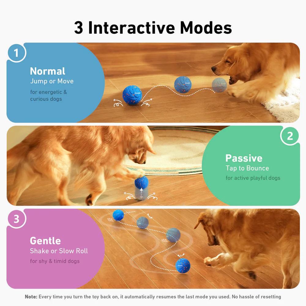 
                  
                    Wicked Ball Air - Juguete Inteligente Perros
                  
                