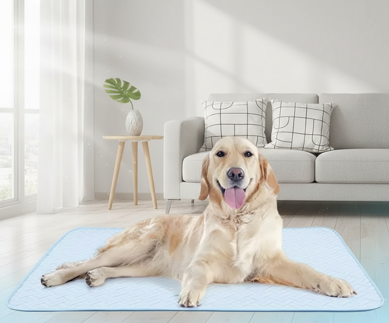 
                  
                    Manta Refrescante Clásica
                  
                