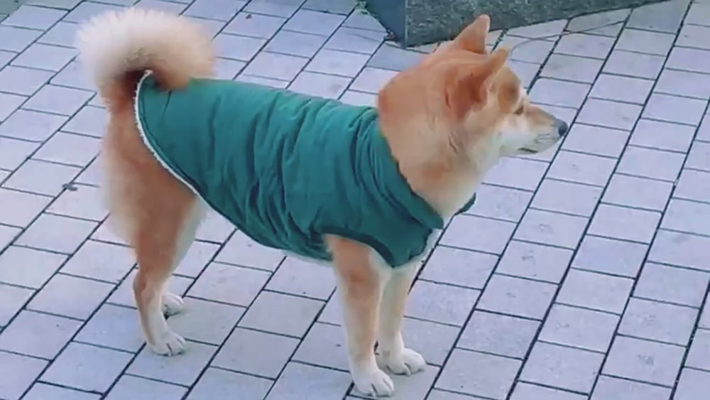 
                  
                    Cargar y reproducir video en el visor de la galería, Chaqueta Polar Gris
                  
                