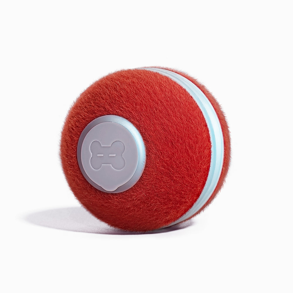 Cheerble Ball M3