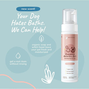 Shampoo Energizante en Seco de Pomelo para Perros - 236ml