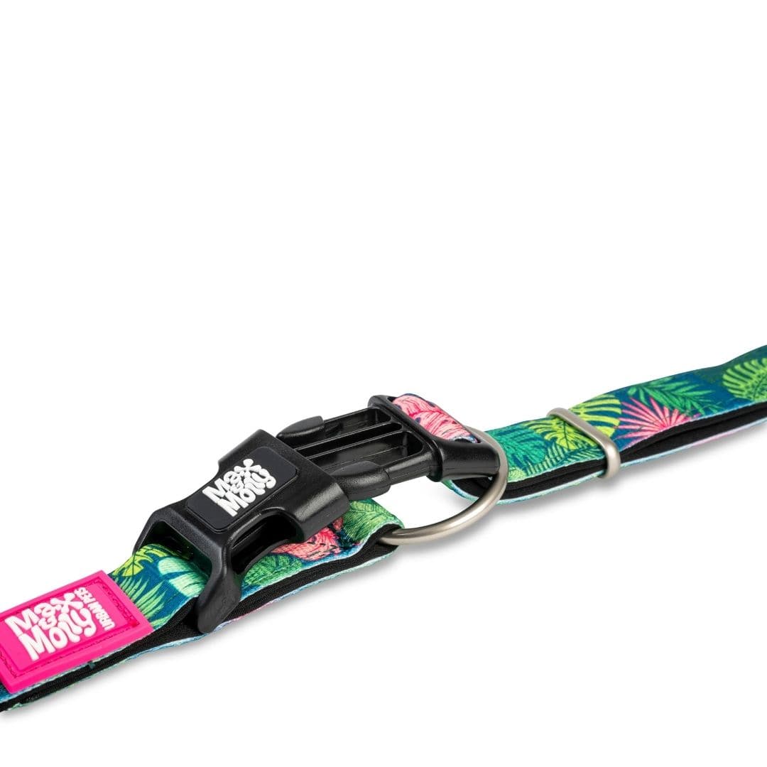 
                  
                    Collar Tropical con Smart ID
                  
                