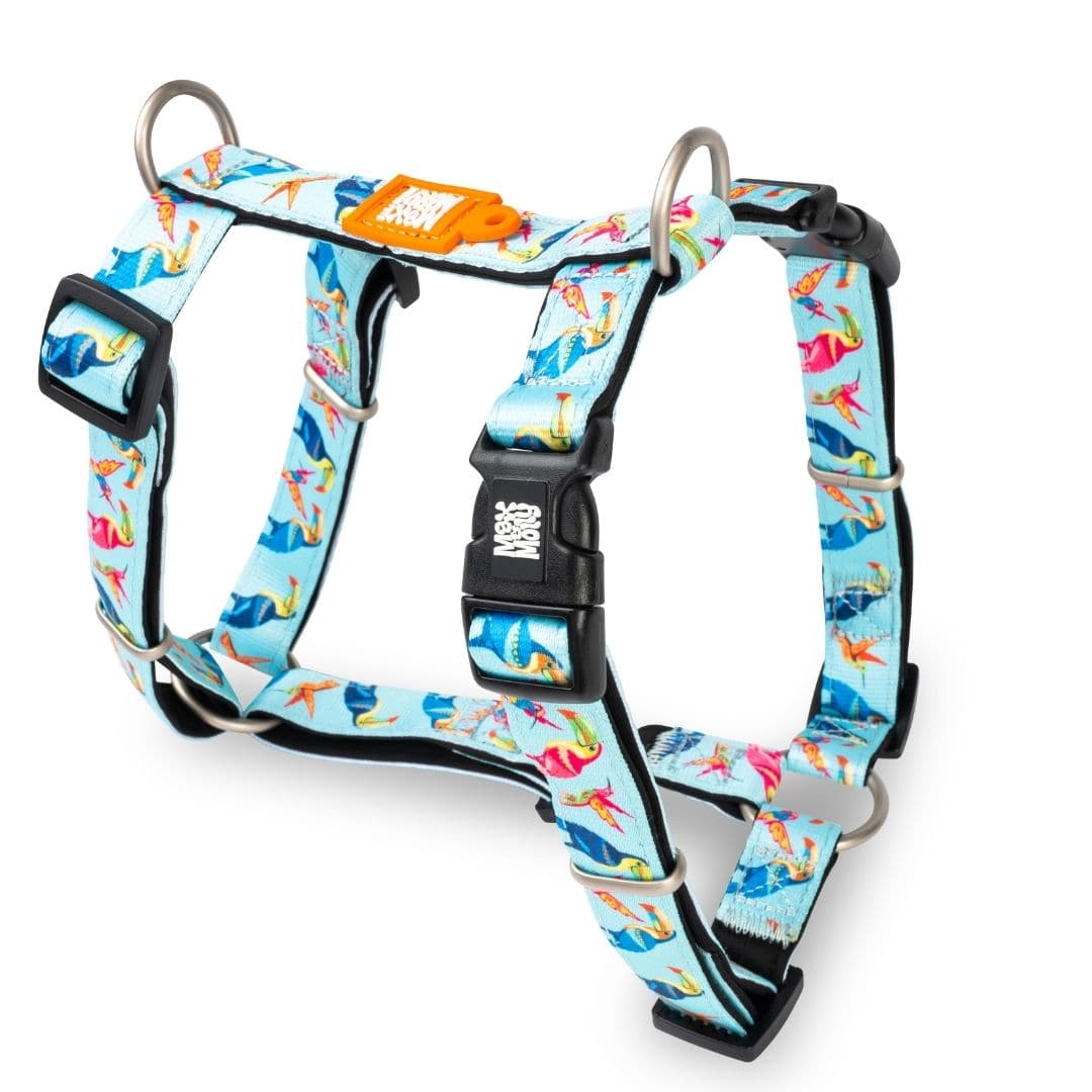 Arnés En H Para Perro MAX & Molly - Talla M, Color Black Sheep, Diseño Ergonómico, Ideal Para Paseos Cómodos