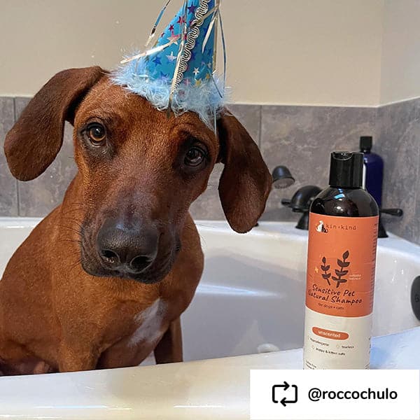 
                  
                    Shampoo Cachorros y Piel Sensible Sin Perfume para Perros y Gatos - 354 ml
                  
                