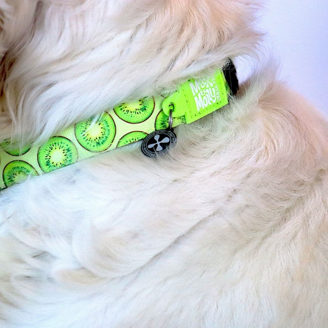 
                  
                    Collar Kiwi con Smart ID
                  
                