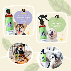 Repelente de Pulgas Lemongrass para Perros y Gatos - 354 ml