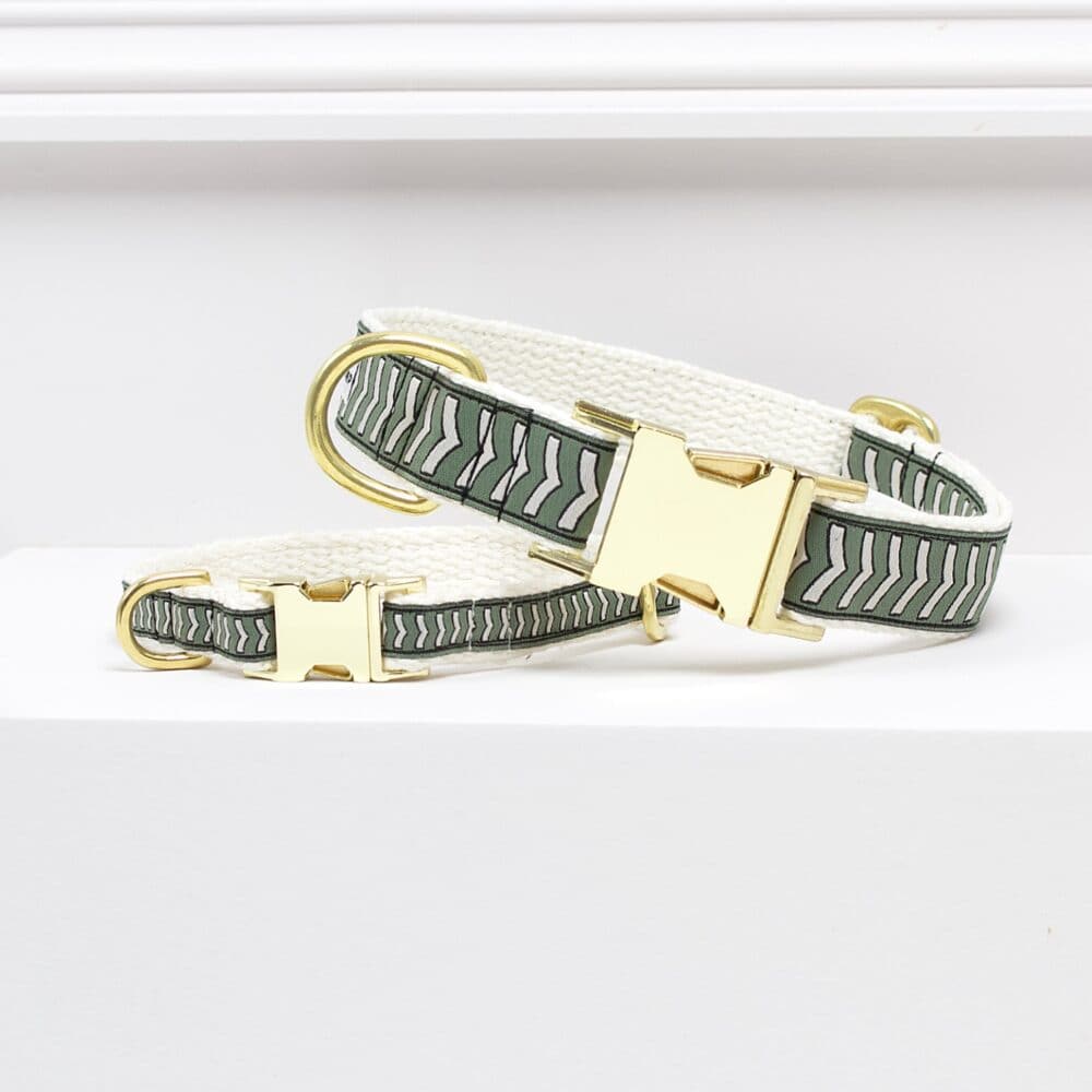 Collar Chef L'Bark Verde Musgo/Beige