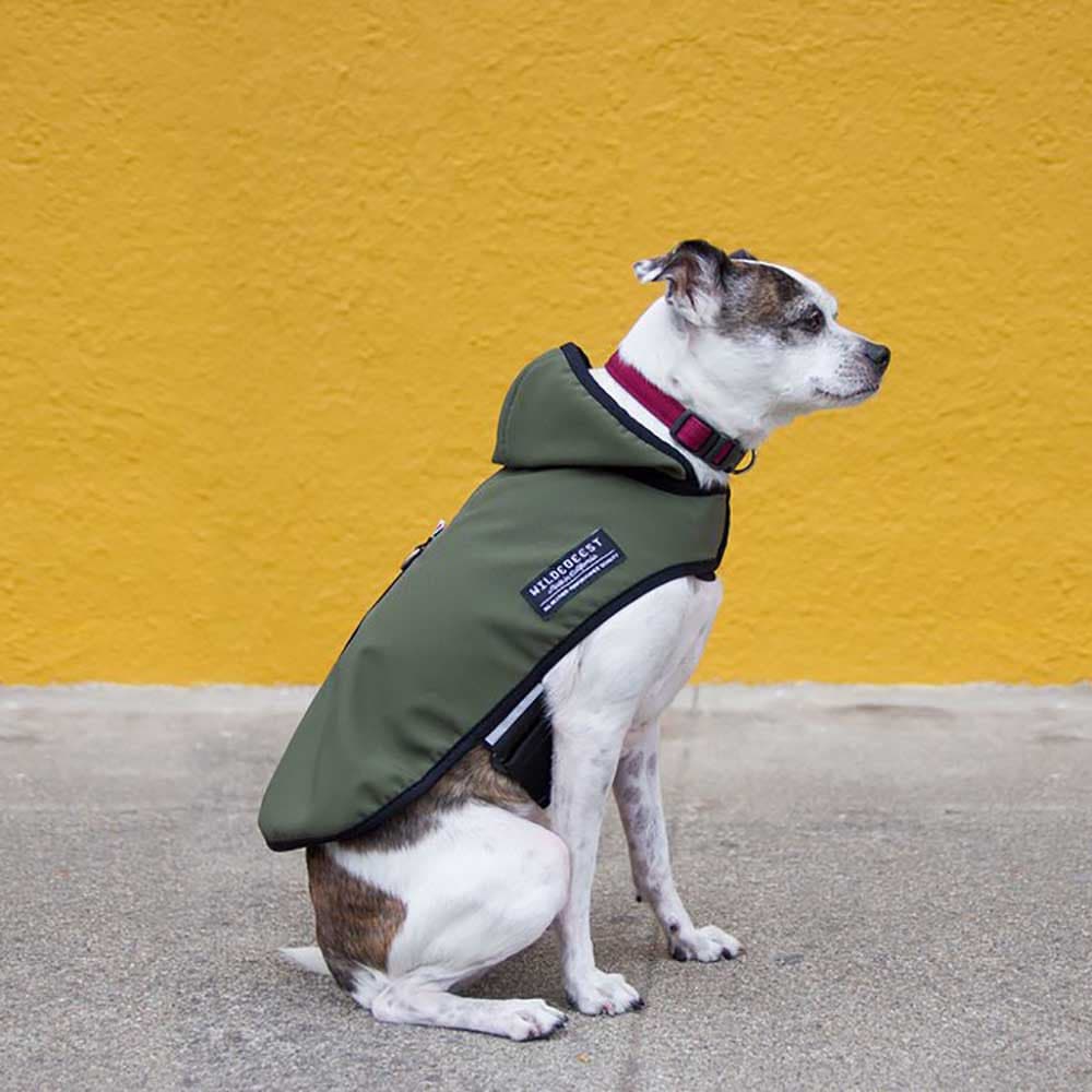 Chaqueta All Weather Oliva