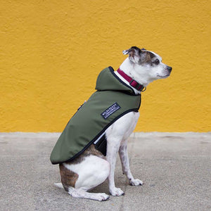 Chaqueta All Weather Oliva