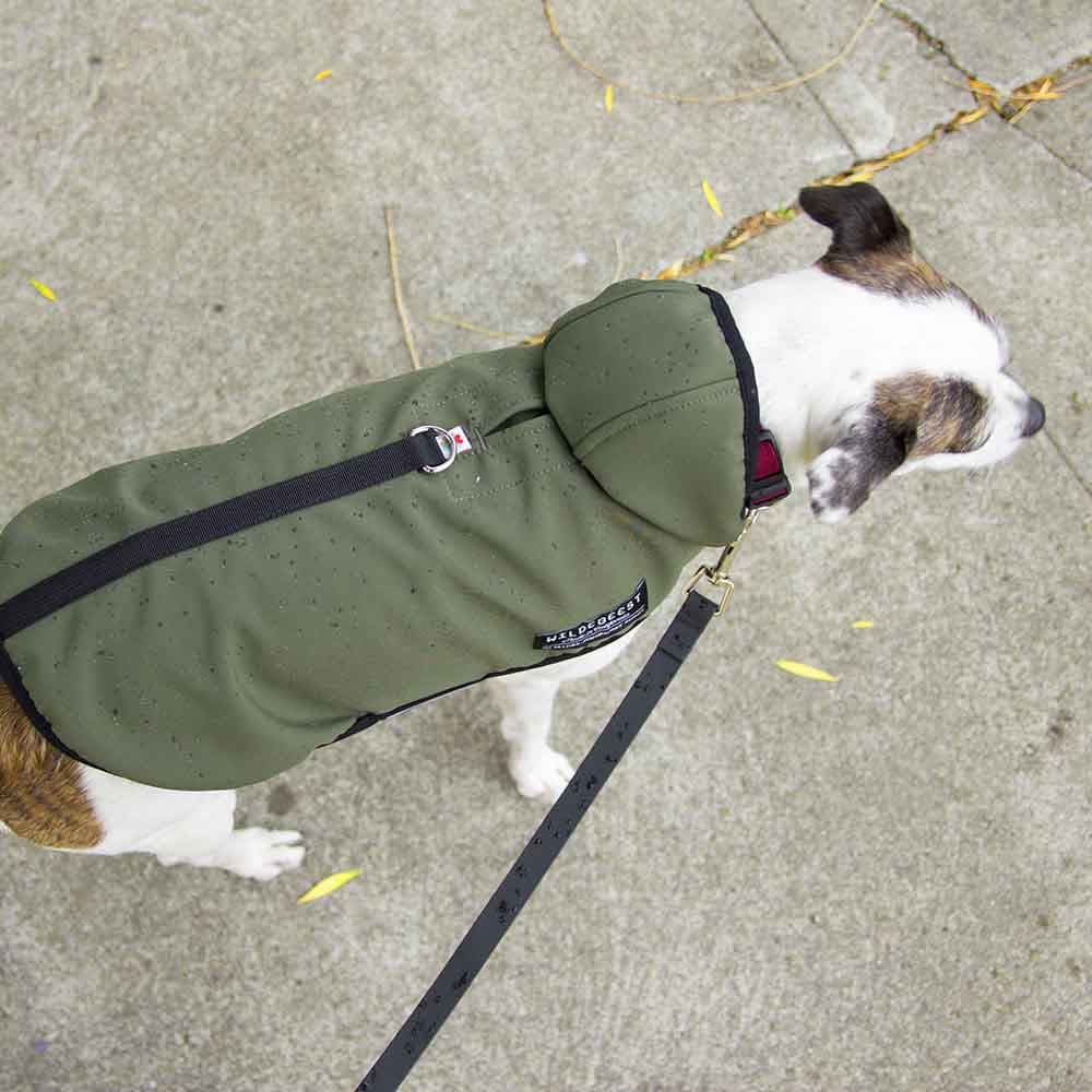 Chaqueta All Weather Oliva