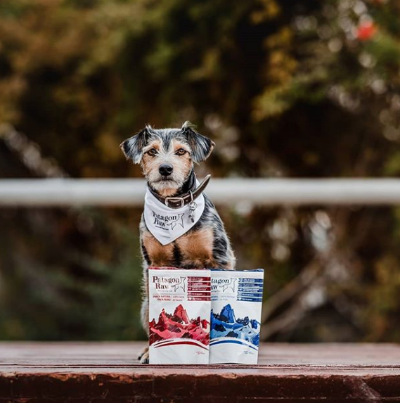 
                  
                    Carne Deshidratada para Perros Pollo - 40 grs
                  
                