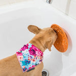 LickiMat® Splash para Perros