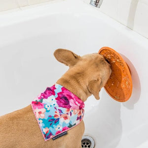 LickiMat® Splash para Perros