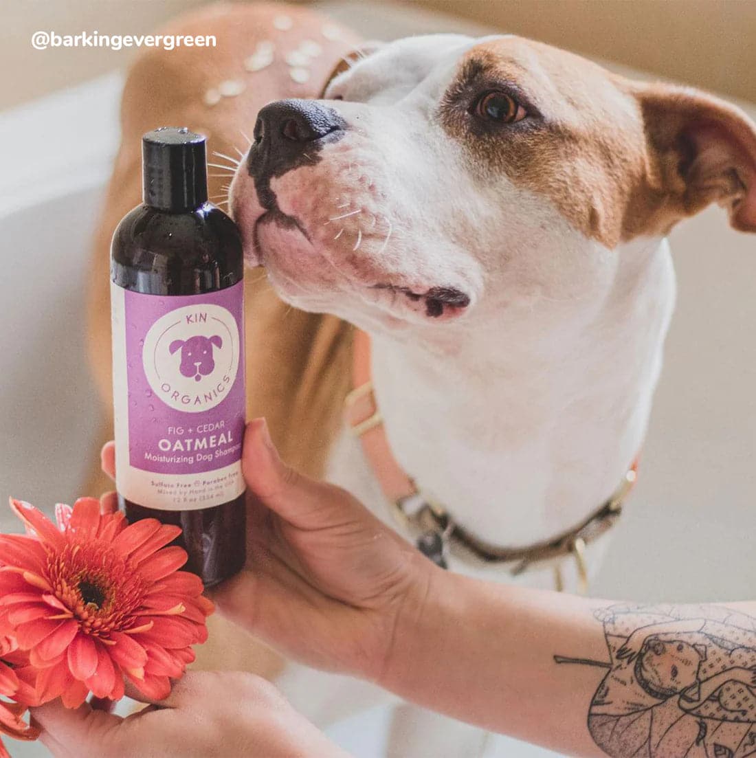
                  
                    Shampoo de Avena para Perros con Picazón Higo Cedro - 354ml
                  
                